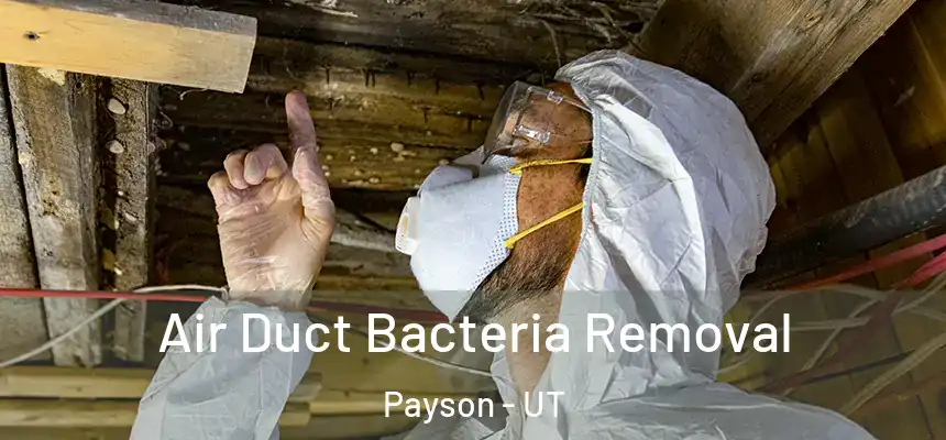  Air Duct Bacteria Removal Payson - UT