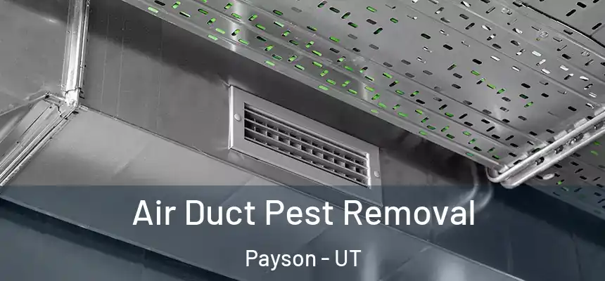  Air Duct Pest Removal Payson - UT