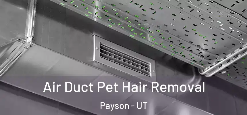  Air Duct Pet Hair Removal Payson - UT