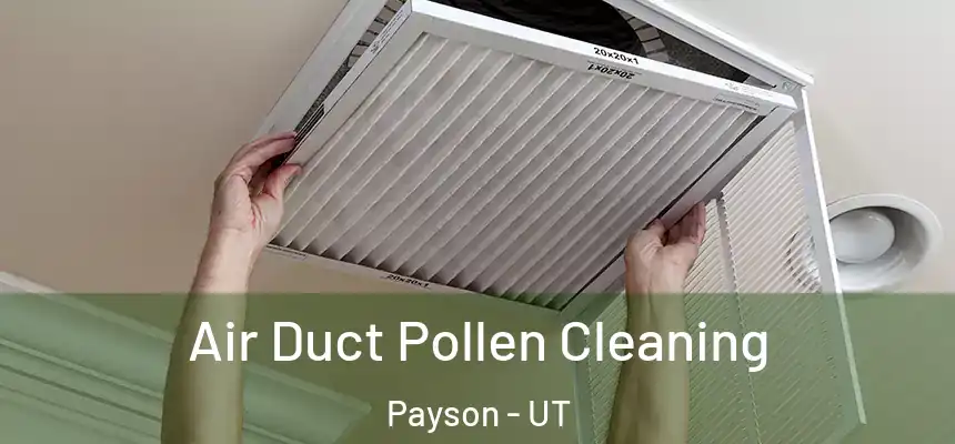  Air Duct Pollen Cleaning Payson - UT