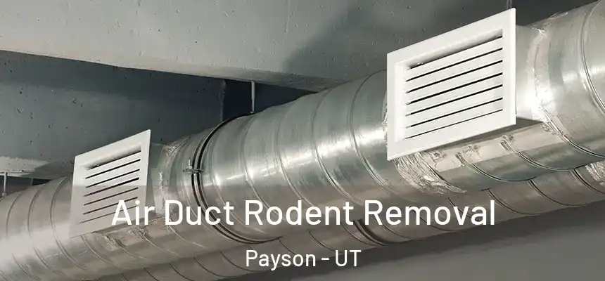  Air Duct Rodent Removal Payson - UT