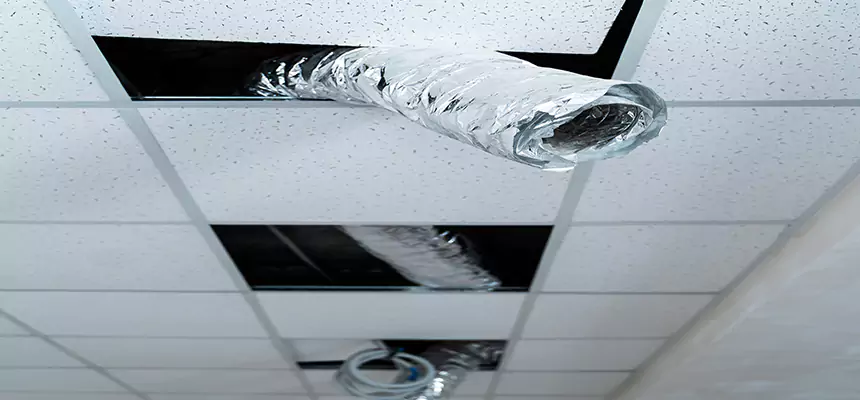 Affordable HVAC Sanitizing After Pest Removal in Payson