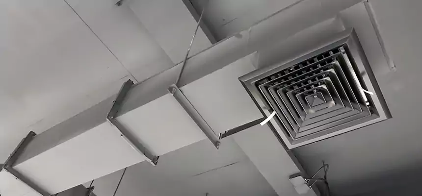 Our Rodent Droppings In Vents Services in Payson, UT