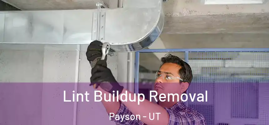  Lint Buildup Removal Payson - UT