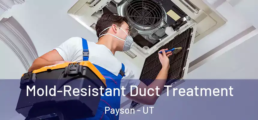  Mold-Resistant Duct Treatment Payson - UT