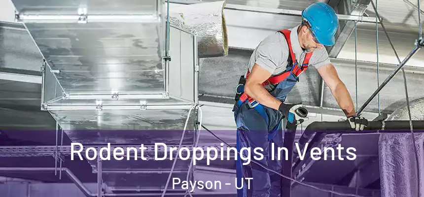  Rodent Droppings In Vents Payson - UT
