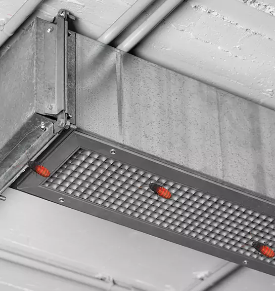 About Air Duct Cockroach Removal in Payson, UT