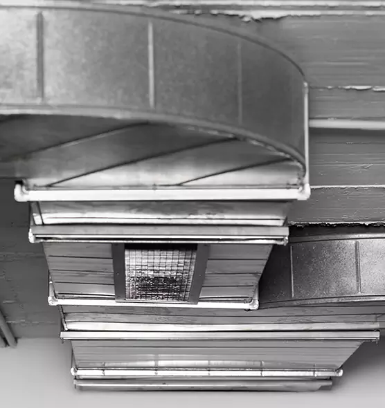 Professional Air Duct Pest Removal in Payson, UT