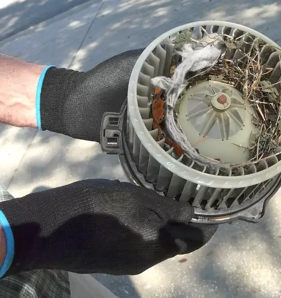 About Air Duct Rat Removal in Payson, UT