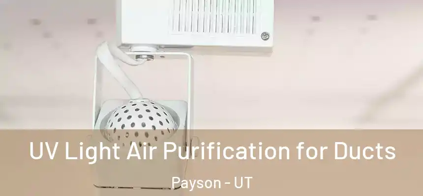  UV Light Air Purification for Ducts Payson - UT